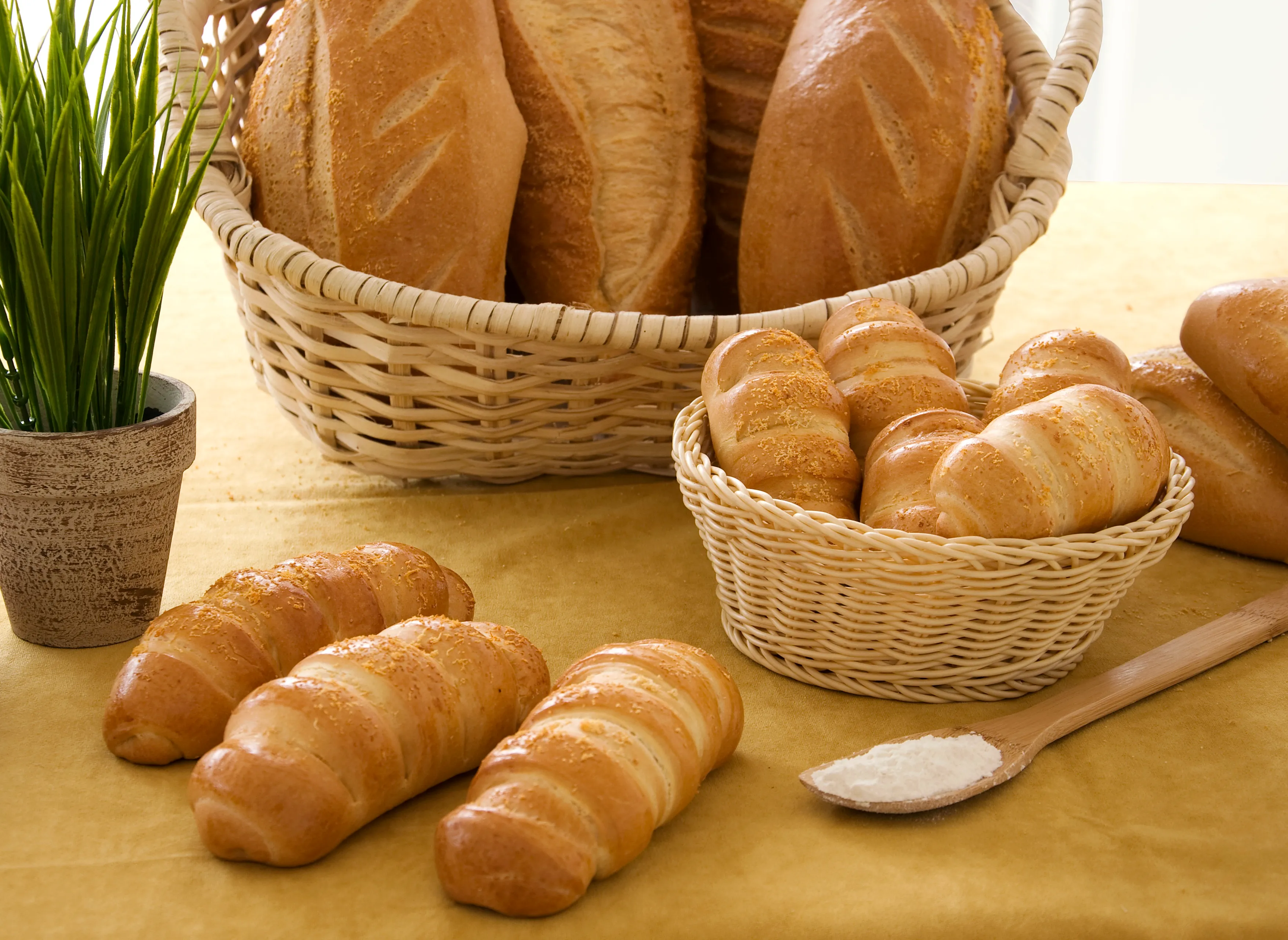 Golden Crepe Pico Gallo Parsley White Plate Houston - Food & Product Photography in Houston Texas