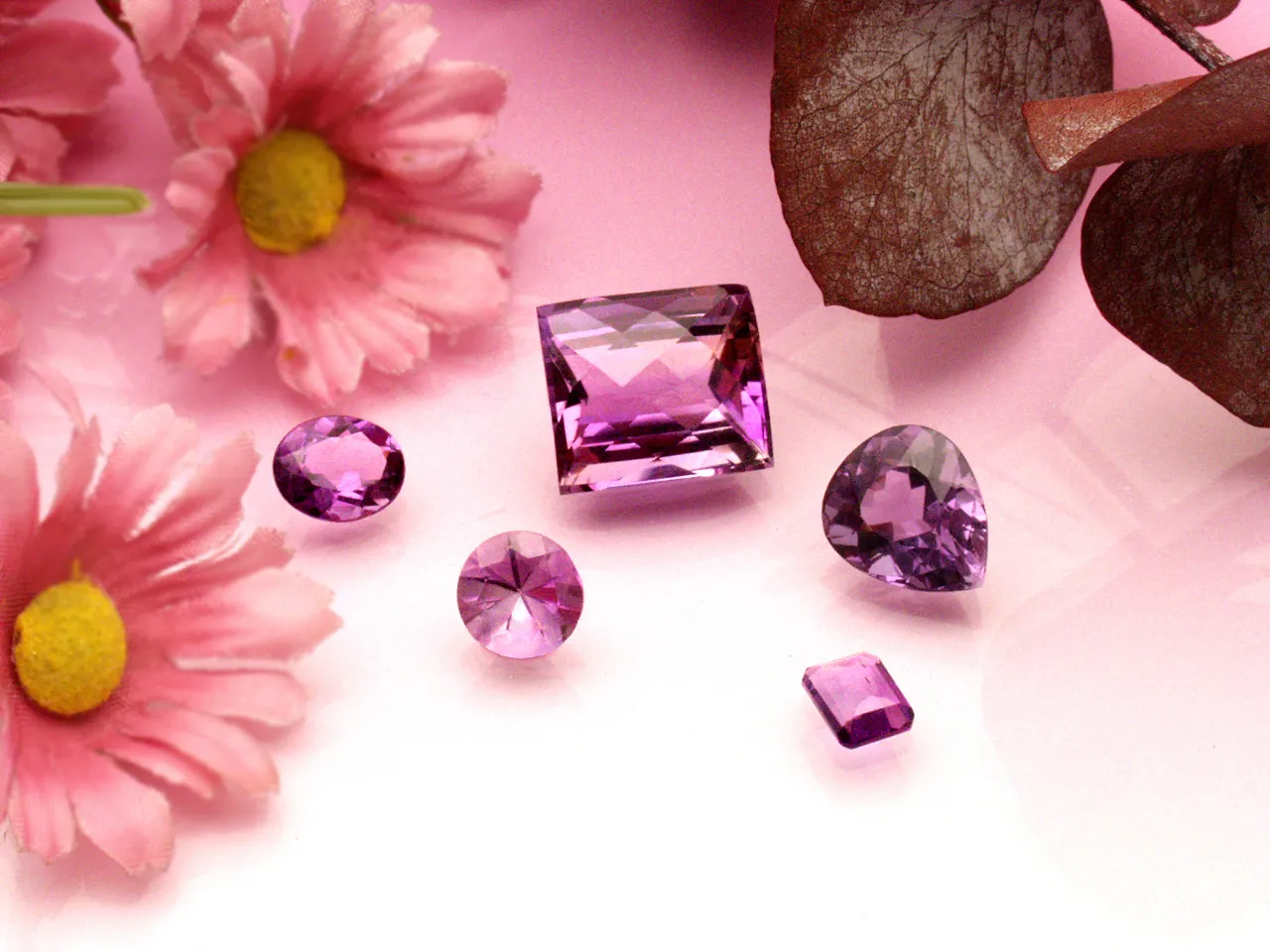 Premium Meat Shrimp Kabob Garnish Plate Sauces Houston - Food & Product Photography in Houston Texas